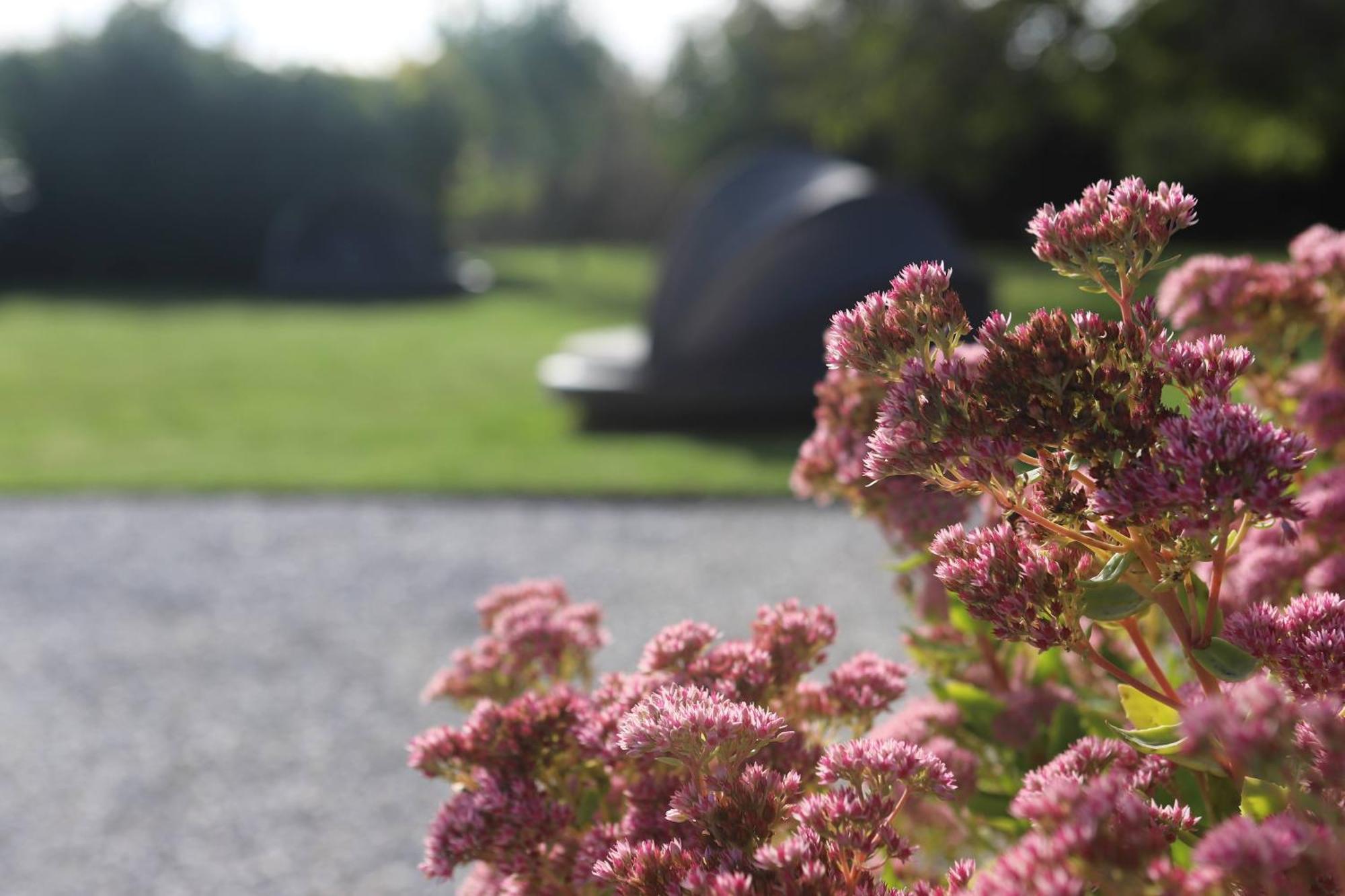 The Secret Garden - Keszthely Bed & Breakfast Luaran gambar