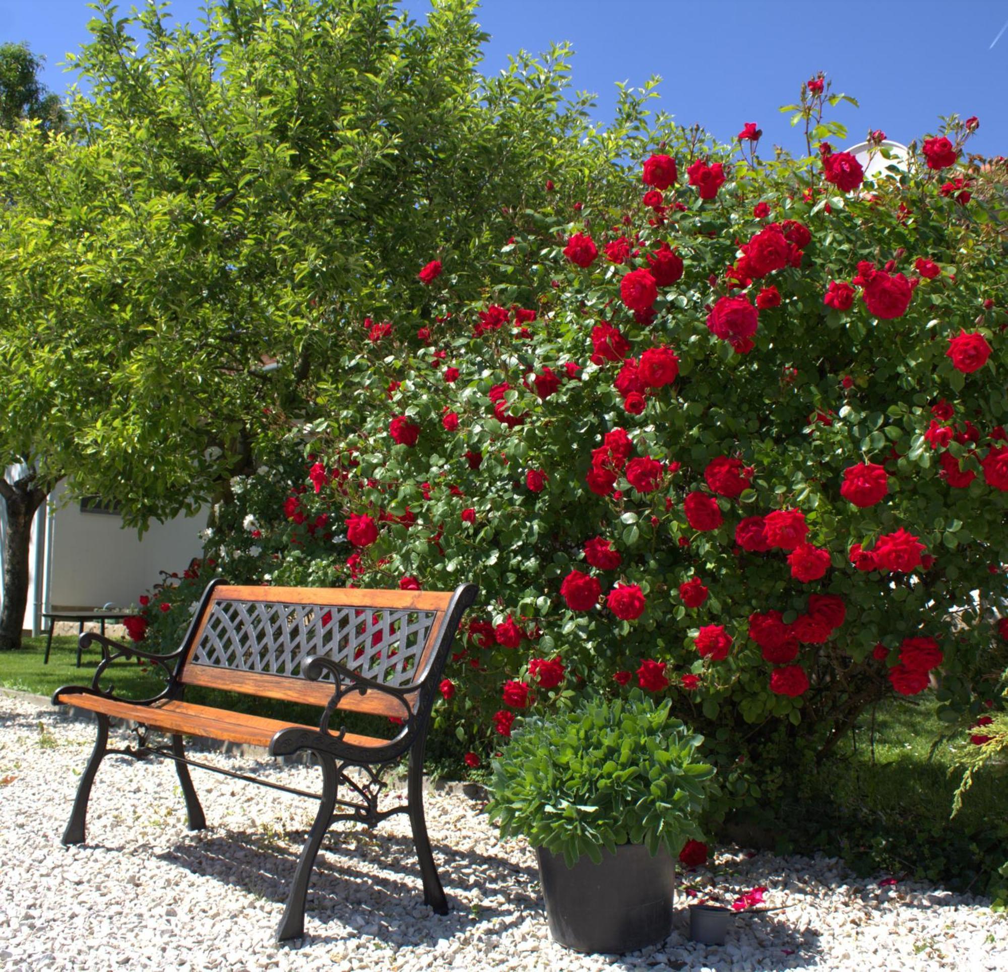 The Secret Garden - Keszthely Bed & Breakfast Luaran gambar